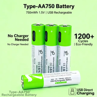 High capacity 1.5V AAA 750 mWh USB rechargeable li-ion battery for Remote control wireless mouse + Cable