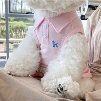 Summer Pet Shirt for Small Dogs Soft Dog Clothes Cute Print Puppy Thin Shirt Breathable Cat Vest Chihuahua Clothes Pet Dog Vest