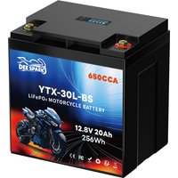 DEESPAEK 30L-BS Motorrad-Starterbatterie 12V 20Ah CCA 650 LiFePO4-Batterie Lithium-Eisenphosphat-Batterie mit BMS für ATV UTV Roller Schneemobil
