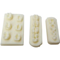 Dental practice, resin block practice, filling of dental implants, resin module examination, practice model