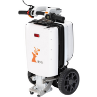 Elektroroller für Senioren mit 3 Rädern, faltbar, für Erwachsene, 350W 48V, Reise-Elektrodreirad für Senioren, herausnehmbarer Akku