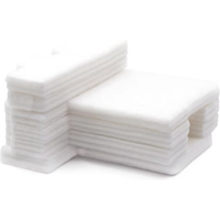 F170 Waste Ink Tank Maintenance Sponge For Epson SC-F150 SC-F100 SC-F130 SC-F170 SC-F160 SC23MB S2101 F-170 F160 F150 Printers