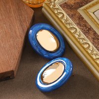 Fashionable personality, cool style, colorful geometric oval resin earrings, niche light luxury, high-end and versatile earrings