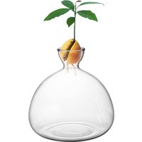 Avocado Seed Starter Vase Avocado Vase for Growing Avocado Seed Growing Kit Plant Glass with Stickers Gift for Gardening Lovers