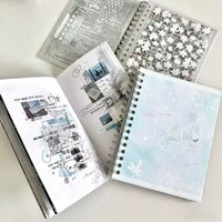 New Korean Sticker Book 8 Issues Stranded Time Sticker Book 32 Double Transparent White Ink Lily Original Coil Sticker Cute Gift