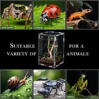 Transparent Acrylic Mini Pet Habitat With Magnetic Door Opening Design For Jumping Spider Fly Hunting Spider Tree Spine Spider