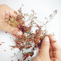 DIY Miniature Climbing Vines Flower Model, Creepers Plants for Dioramas, Railroad Layout, Wargame Scenery, Dollhouse Decoration