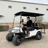 4-Person 48V/60V/72V Solar Panel Trolley Dune Buggy Off-Road Golf Kart for Adult Lithium Battery 14 Inch Tire Electric Golf Cart