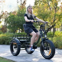 48V Adult Electric Trike Cargo Bike 750W Fat Tire Sand & Snow Fast Delivery Tricycle Fashion Three Wheel Vehicle for Adults
