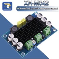 XH-M542 TPA3116 D2 TPA3116DA DC 12V 24V 100W Mono Channel Digital Power Audio Amplifier Board TPA3116D2 Large Capacity Board