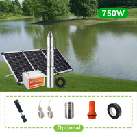 150W 370W 750W 12V24V DC Brushless Solar Submersible Water Pump With Built-In Controller Solar Screw Deep Well Pump Max Head 35M