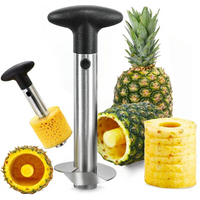 Pineapple Cutter Stainless Steel Pineapple Slicer Pineapple Extractor Peeler Core Separator Spiral Rotary Pineapple Peeler