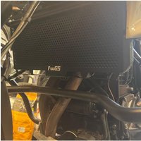 For BMW F700GS F800R F800S F650GS Motorcycle Radiator Guard Cover Protector Protective Grille F 650 700 GS F 800 R/S F 650GS