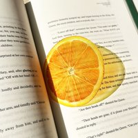 Fruit-Shaped Acrylic Bookmark–Grap/Fig Design,Semi-Transparent Cute Page Marker,Creative Gift for Book Club&Back-to-School