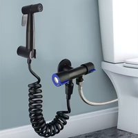 Toilet Companion Flush Valve Faucet Set One In Two Out Spray Gun Bidet Multifunctional Mop Pool Dual Use Faucet