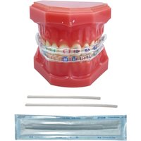 2Pcs/Bag Orthodontic Brace Transparent Sleeve Cover Archwire Bracket Elastic Protect Tub for Inner Lip Protector