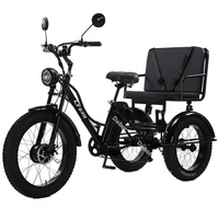Seat 750W 48V Electric Bike For Man Removable Battery Fat Tire Electric Adult 3 Wheel Tricycle For 2 Person With Passenger