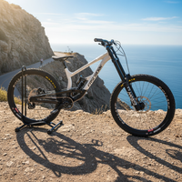 Downhill Mountain Bike Full Suspension Adults Bicycle 11 Speed Hydraulic Brakes 148X12mm