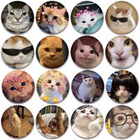 Funny Cat Memes Pins Cute Round Snap-in Button Brooch Backpack Clothes Accessories Tinplate Enamel Badge Friend Jewelry Gifts