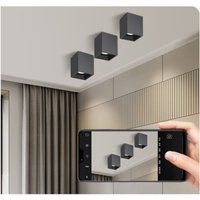 DALI dimming Square anti-glare COB spotlights 10W 12W 15W 18W 21W 25W LED Down light ceiling light AC200-250V Home business