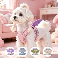 Cute Angel Wing Dog Harness Vest No Pull Breathable Adjustable Pet Chest Strap for Small Medium Dogs Maltese Bichon Teddy Yorkie