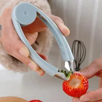 Kitchen Stainless Steel Pineapple Eye Corer Fruit Vegetable Knives Stem Remover Clip Strawberry Huller Peeler Tweezers Gadgets