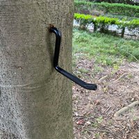 Climbing Steps For Hunting Knurling Pattern Tree Stand Slip-Resistant Self-Tapping Screw Mount 705lbs Climbing Tree Stand For