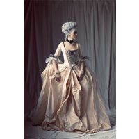 18th Century Costume Women Victorian Royal Queen French Court Marie Antoinette Costume Dress Versailles Costume Ball Gown