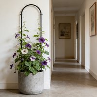 2-Pack Metal U-shaped Climbing Plant Trellis Rustproof& Durable U-shaped Arch Design, Special Garden Support for Potted Climbing