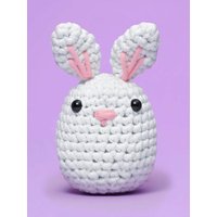 Beginner Crochet Kit with Crochet Hooks Yarn Set DIY Crochet Stuffed Animal Kits