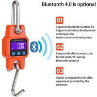 WeiHeng C06 Portable Electronic Hook Scale Charging Bluetooth Mini Lifting Scale For Household Use