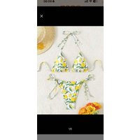 New Style Printed Lace-Up Halter Neck Sexy and Fashionable Women's Two-Piece Bikini Swimsuit