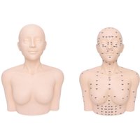 Training Mannequin Practice Face Head Shoulder with Acupoint Display Props Massage Practice Tool