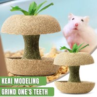 Core Teething Bars Grass Biscuits Hamster Chew Toys for Teeth Guinea Pig Chew Sticks Toys for Treats Hamster Cage Accessories