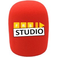 Customize Logo for Round Mic Foam Windscreen Wndshields Fit on Most Handheld Microphones SM58 Rode NT1-A