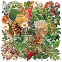 50Pcs Cartoon Plant Stickers Set DIY Decor for Phone Case Journal Laptop iPad LanLanStickersWorld Store