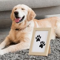 Clean Touch Inkless Paw Print Kit Dog Cat Nose Impression Pad DIY Pet Owner Keepsake Memory Souvenir Gift Supplies Daily Use