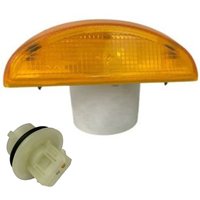 1404747 1626101 For DAF LF45 LF55 Truck Lorry Car Side Fog Light Turn Signal Lamp WIth Bulb Holder Car Lights Accessories