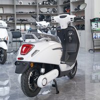 12 Inch 1100W 1300W Electric Scooter Adults 200kg Motorcycle 65km/h Speed 70km Range Electric Motorcycle