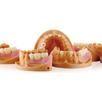 OEM Custom Dentures Fixed Restorations CAD/CAM Multilayered Zirconia IPS e.Max Veneer Post PFM Co-Cr Alloy FMC Bridge