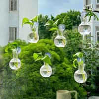 4pcs/set Transparent Wall Mounted Vase with Suction Cups Self-Watering Plant Hydroponic Vase Plant Stem Bottles