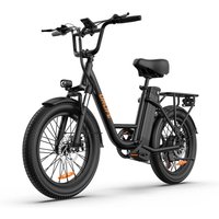 AliExpress URLIFE Adult E-bike 250W 48V 13Ah battery commute Electric Bike,20-inch Fat Tire city ebike