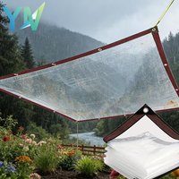 2x4m/2m 3x4m Wasserdichte Transparente Plane mit Verstärkten Kanten, Dicke Folie, Regenschutz für Blumen, Isolierung, Wind- und Frostschutz