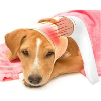 Medical Laser Photo-therapy Device Laser Physical Therapy Laser Pain Relief for Dog Cat Pet Skin Disease Machine