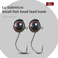 10pcs Mini Jig Head Fishing Hooks, 2.5g 3.5g 5g 3D Eyes Lead Jig Head, Small Ball Jig Hook for Bass Crappie Perch Soft Lure