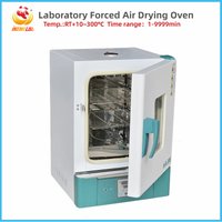 WEIAI Forced Air Drying Oven 30L Air Oven Thermostat Incubator Drying Oven Industrial Chemical Drying Ovens For Laboratory