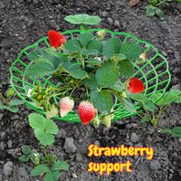 6-24pcs Green Plastic Strawberry Plant Support Stand with 3 Sturdy Legs, Anti-Rot Fruit Holder Tray, Potted Gardening Accessory