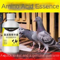 Amino acid essence pigeon high flying liquid health care recovery can promote growth and enhance immunity