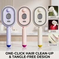 Electric Steam Comb For Hair Spray Air Cushion Comb For Women Rechargeable Hair Comb With Water Spray Anti-static Hair Comb