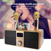 Speaker Family KTV High Quality Sound Kit Integrated Wireless Microphone Live Audio Card Bluetooth Karaoke Speaker Karaoke Sound
